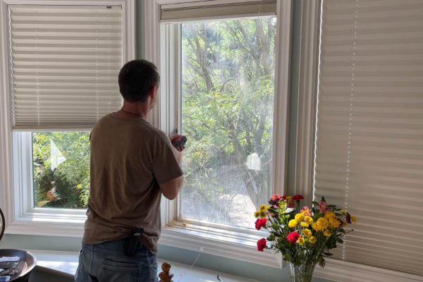 professional window repair expert